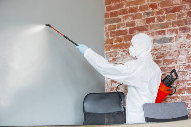Best Environmental Consulting for Mold Prevention  in Dearborn Heights, MI