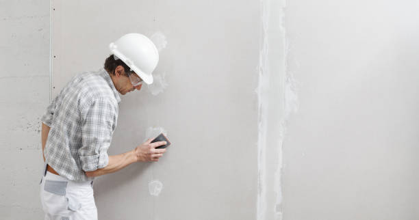 Biohazard Mold Removal in Dearborn Heights, MI