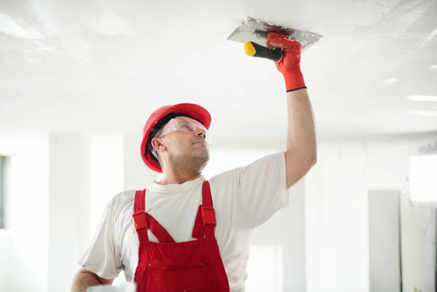 Best Mold Prevention Services  in Dearborn Heights, MI